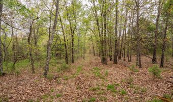 493 County Road 151, Alton, MO 65606