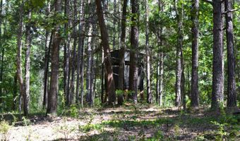 0 County Rd 22, Auburn, AL 36830
