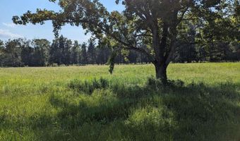 POPLAR SPRINGS ROAD lot 0, Ashville, AL 35173