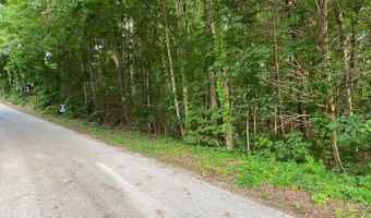 0 Willow Grove Hwy, Allons, TN 38541
