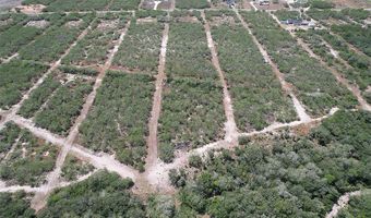 195 CR 1461 Lot 8, Alice, TX 78332