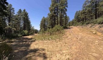 TBD Unit 3 Forest Lakes, Bayfield, CO 81122