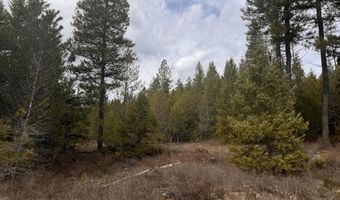 NKA E Lowland Drive, Athol, ID 83801