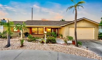 727 FLAMINGO Dr, Apollo Beach, FL 33572