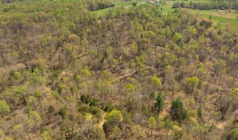 Martha Stockton Road, Albany, KY 42602