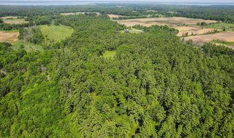 1751 BUTTERCUP Ave, Arkdale, WI 54613