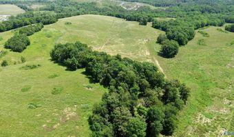 120 Carnes Chapel Rd, Attalla, AL 35954