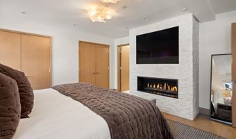 447 E Cooper Ave 1, Aspen, CO 81611