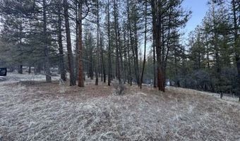Bobcat Circle, Beatty, OR 97621