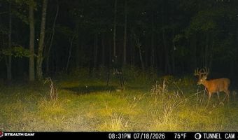 566 A Tunnel Ridge Rd, Argillite, KY 41121