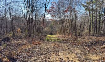 0 W Captina Highway Rd, Alledonia, OH 43902