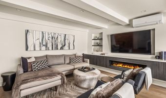 1039 E Cooper Ave 20, Aspen, CO 81611