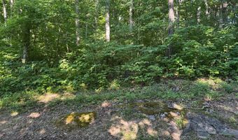 6 8 Acres Friendship South Rd, Afton, TN 37616