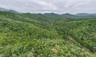 399 Shell Stand Rd, Almond, NC 28702