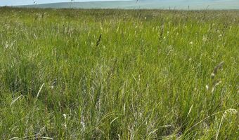UBET Road, Buffalo, MT 59418