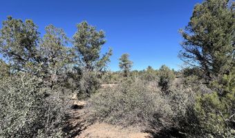 Home Stretch Road, Chino Valley, AZ 86323