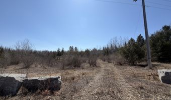 139 AC Witt Rd, Alpena, MI 49707