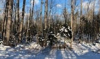 Sawyer Notch Road lot 045, Andover, ME 04216