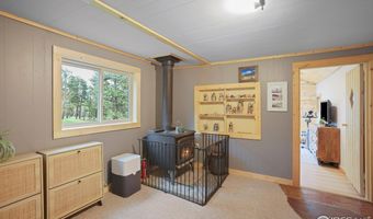 175 Ironclad View Rd, Allenspark, CO 80510