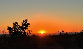 606 D S Billy The Kid Rd, Yucca, AZ 86438