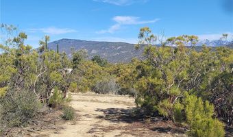 31 El Toro Rd, Anza, CA 92539