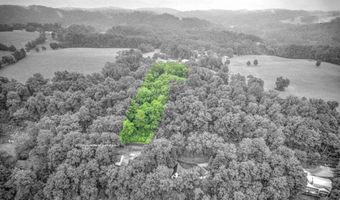 Hagaman Lane lot E-2, Andersonville, TN 37705