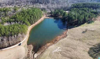 46088 HIGHWAY 77 Lot 0, Ashland, AL 36251