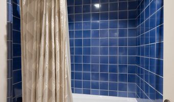 109 Neale Ave, Aspen, CO 81611