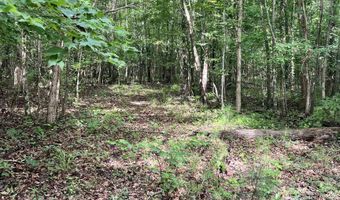 930 ANNISTON BEACH Rd Lot 0, Anniston, AL 36206