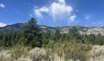 233 Sierra Country Cir, Gardnerville, NV 89460