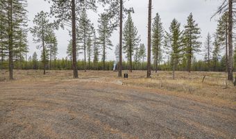 L5 B1 Wallace Lane, Blanchard, ID 83804