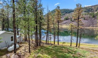 58 E Forest Lakes Dr, Bayfield, CO 81122