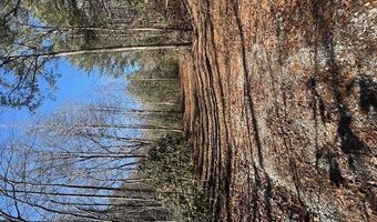 1834 Bristol Ave, Andrews, NC 28901