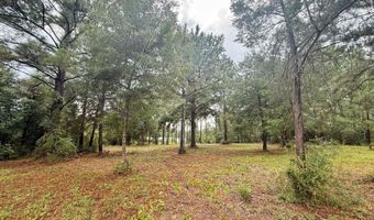 McPherson Drive, Alford, FL 32420