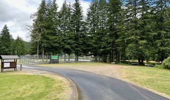 71529 FISHHAWK Rd, Birkenfeld, OR 97016