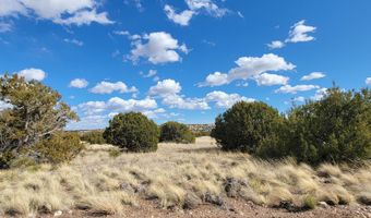 56 County Rd, Concho, AZ 85924