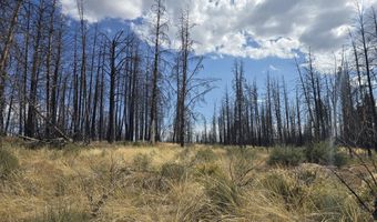 Valley Oak Lane, Bly, OR 97622