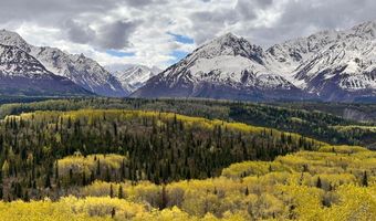B005 S Packsaddle Road, Chickaloon, AK 99674