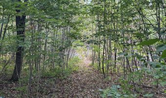 174 Rabideau Rd, Altona, NY 12910
