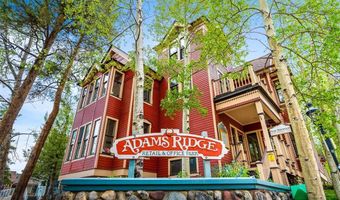 160 E Adams Ave 2, Breckenridge, CO 80424