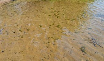 29933 391st Pl, Aitkin, MN 56431