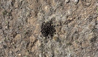 46625 N Jackrabbit Cir, Ash Fork, AZ 86320