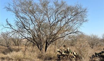 CR 119 lot 0, Alice, TX 78332