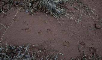 Tract 1 Acme Rd, Asher, OK 74826