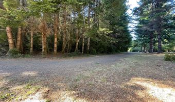 55996 FISHTALE Rd, Bandon, OR 97411