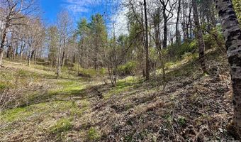 Mitchell Avenue, Bakersville, NC 28705