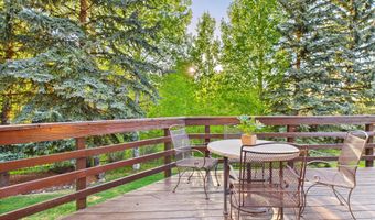 593 Meadowood Dr, Aspen, CO 81611