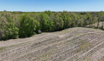 27350 H Drive North Dr N, Albion, MI 49224