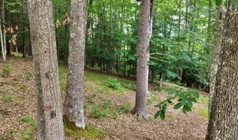 88 Cherry Ln, Arbovale, WV 24915