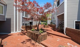 5560 LANGSTON Blvd 63-E, Arlington, VA 22207